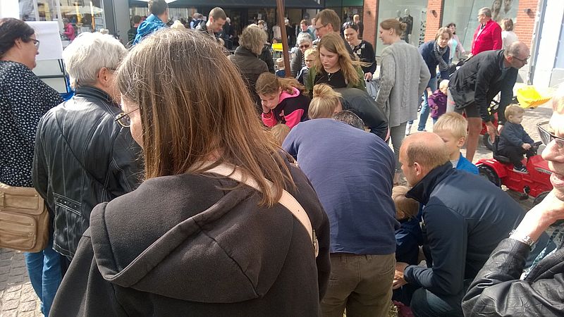 Ansvarlige for aktiviteter