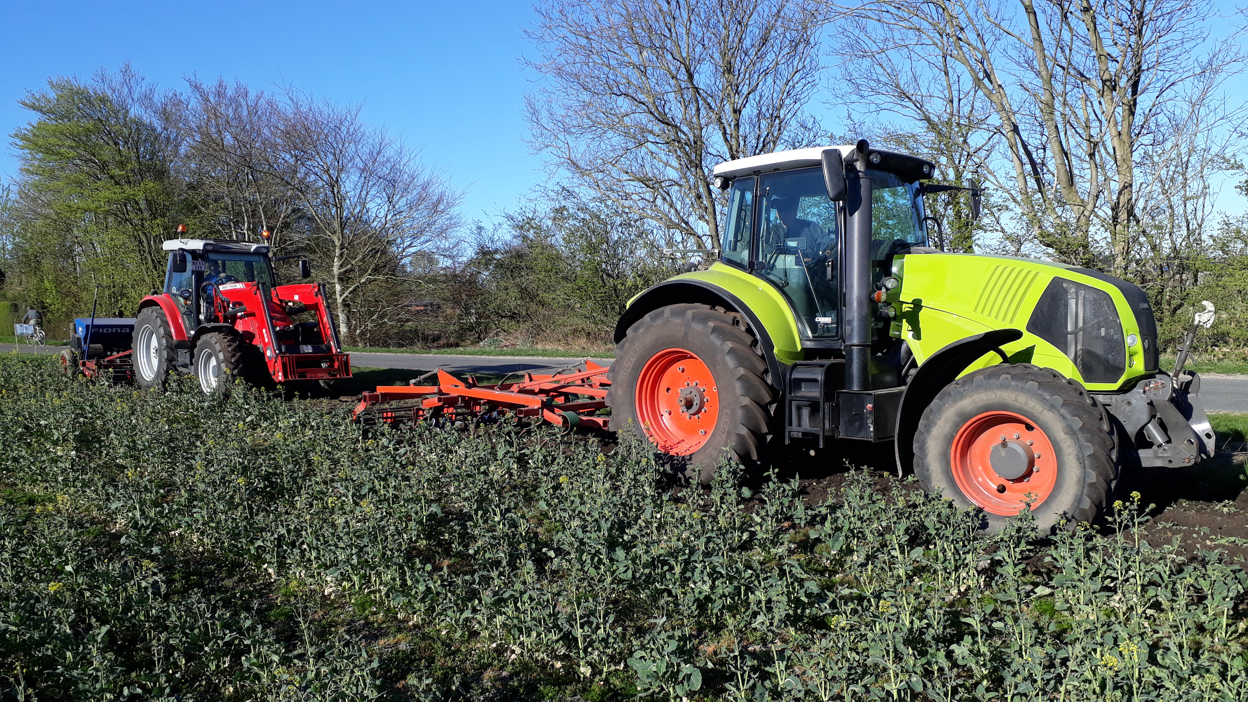 Markblomster markerer jubilæum
