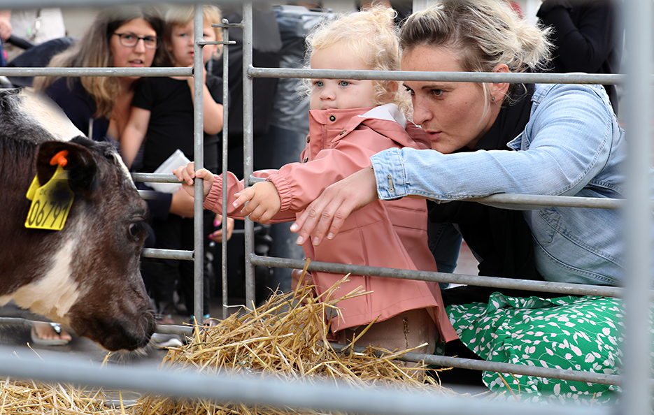 Landbruget kommer til byen